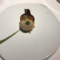 レフェルヴェソンス - 