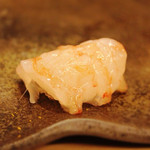 鮨　廣見 - ボタン海老