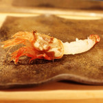 鮨　廣見 - もさ海老