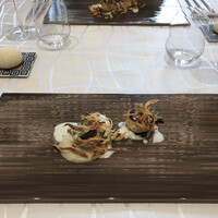 クイントカント - 