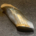 寿し おおはた - 