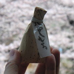 ちもと - 満開の桜をバックに