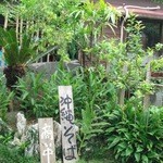 琉球茶房あしびうなぁ - 