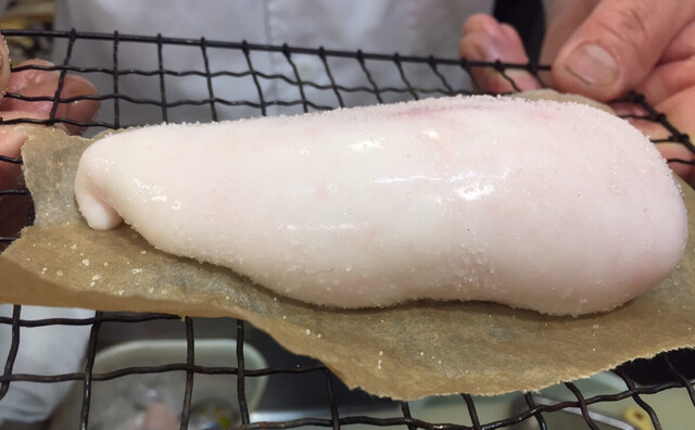 亀甲鮨 きっこうずし 徳島 寿司 食べログ 亀甲鮨 きっこうずし 徳島 寿司 食べログ