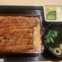 うなぎ 目白ぞろ芽 - 