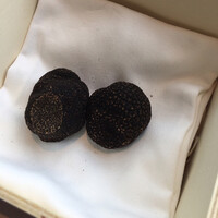 フィリップ・ミル 東京 - 馥郁たる香り素晴らしく