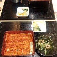 うなぎ 目白ぞろ芽 - 