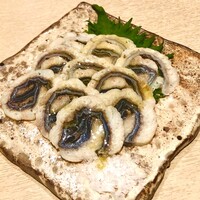 うなぎ 目白ぞろ芽 - 