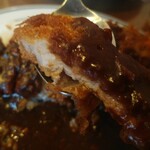 カレーの南海 - 揚げたてカツをパクリ〜