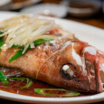 サウスラボ 南方 - 料理写真:2020.1 清蒸石斑（アカハタの醤油蒸し）