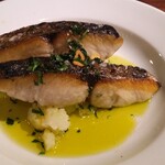 春風駘蕩 - 山形県産鰆のグリル