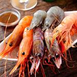 活海老バル orb 天満