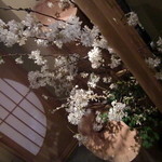 恵比寿　くろいわ - 桜が美しい。