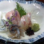 川蝉 - お造り盛り合わせ（2012.03）