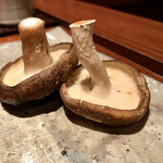 とっぴんぱらりのぷ - 