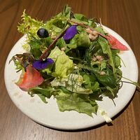 ERUTAN RESTAURANT BAR - 