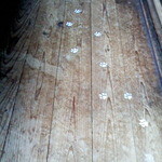 ことばのはおと - 廊下に猫のあしあとが！？