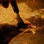 雅頌 - 明太子チーズもんじゃ(1029円)