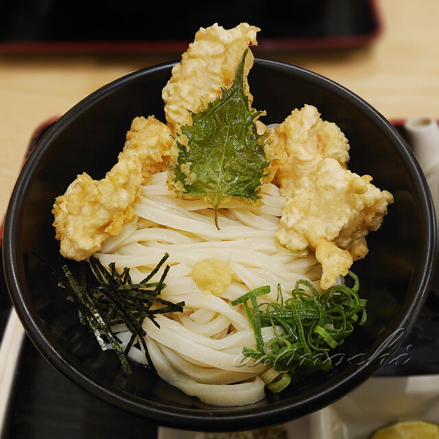 つづみ 丸亀 うどん 食べログ つづみ 丸亀 うどん 食べログ