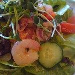 シャンゴ - 2012,03,27