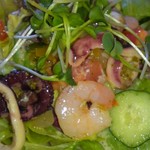 シャンゴ - 2012,03,27