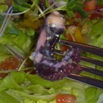 シャンゴ - 2012,03,27