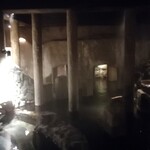 花仙庵 仙仁温泉 岩の湯 - 洞窟風呂