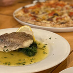 Pizzeria e Trattoria SPESSO - 