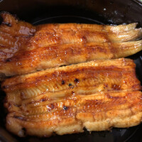 うなぎ秋本 -  うなぎ秋本 -