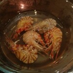 嵐を呼ぶ漁師小屋 - 車えび地獄蒸し５匹