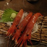 嵐を呼ぶ漁師小屋 - 大ボタンエビ刺３匹