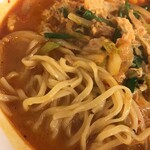 Hidakaya - 期間限定 チゲ味噌ラーメンの麺をアップで