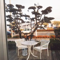 カフェ＆レストラン ヴァン - 船の発着が見られます