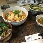 酒さんぽ道 ちろり庵 - エビ天おろしうどんセット