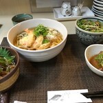 酒さんぽ道 ちろり庵 - エビ天おろしうどんセット