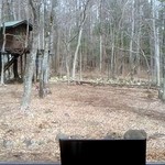 GROVE CAFE - 窓からの景色