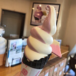 富士山の見えるカフェ - ソフトクリーム ブルーベリーのミックス
            富士山クッキー付き