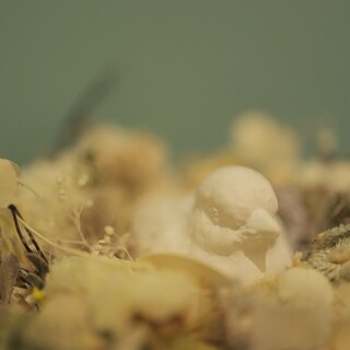 コンディトライ カラス_1