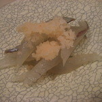 鮨 なんば - さより