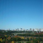 インペリアルラウンジ アクア - ラウンジの窓から見えた日比谷公園の風景です。