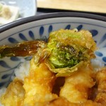 Saiya - 春天丼