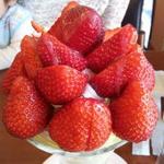 フルーツガーデン シン・サン - 