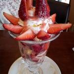 フルーツガーデン シン・サン - 