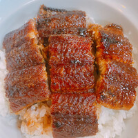 ひつまぶし 備長 本店 - 上うなぎ丼