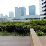 カフェアロンジ - 窓からの眺め