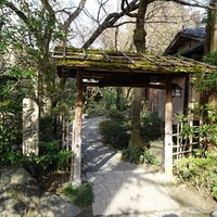 山ばな平八茶屋 - お庭