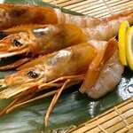 红虾刺身 (1只)
