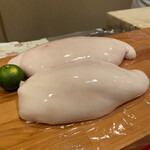 龍文支店 - 特大白子❤︎つやっつや✨