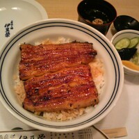 鰻割烹 伊豆栄 本店 -  鰻割烹 伊豆栄 本店 -