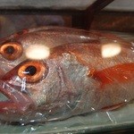 軍ちゃん - のどぐろ